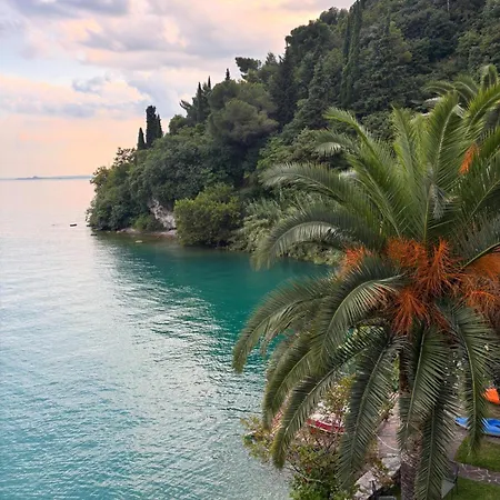 Forbisicle 提尼亚类